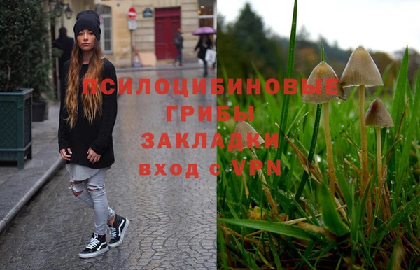 винт Лагань