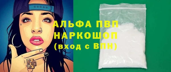 винт Лагань