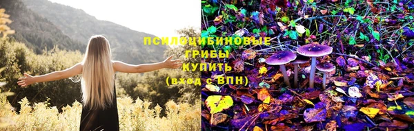 мяу мяу мука Елабуга