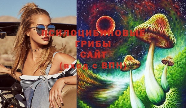 PSILOCYBIN Ладушкин